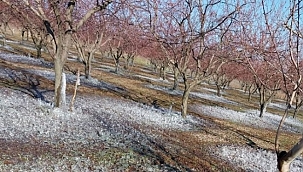 METEOROLOJİDEN ZİRAİ DON UYARISI