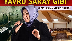 'Yavru saray' paylaşımı Şeyma Döğücü'yü kızdırdı! Görüntüleri paylaşan İsmail Saymaz'a ateş püskürdü: "Jakuzi jakuzi dediler, tuvalet gösteriyorlar"