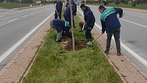 BÜYÜKŞEHİR BELEDİYESİ ÇALIŞIYOR