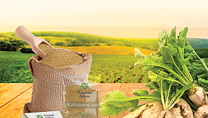 TS BELGELİ KAHVERENGİ ŞEKERİ SADECE KAYSERİ ŞEKER ÜRETİYOR