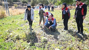 KADINLAR ÜRETTİ İL MÜDÜRÜ HASADA KATILDI