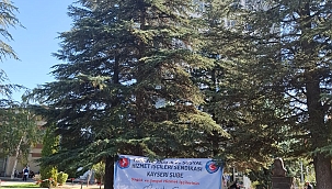 SIRTLARINI HASTANEYE DÖNDÜLER