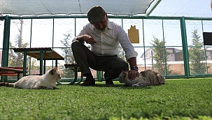 KÜÇÜK DOSTLAR AMBULANSI ANINDA MÜDAHALE EDİYOR