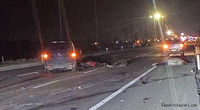 3 AT TELEF OLDU, MİNİBÜS AĞIR HASAR ALDI