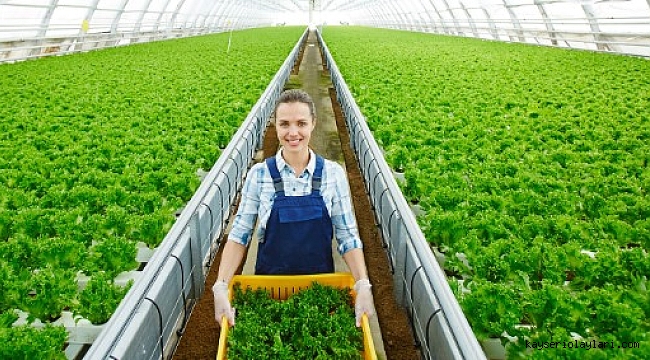 1500 KİŞİ İSTİHDAM EDİLECEK