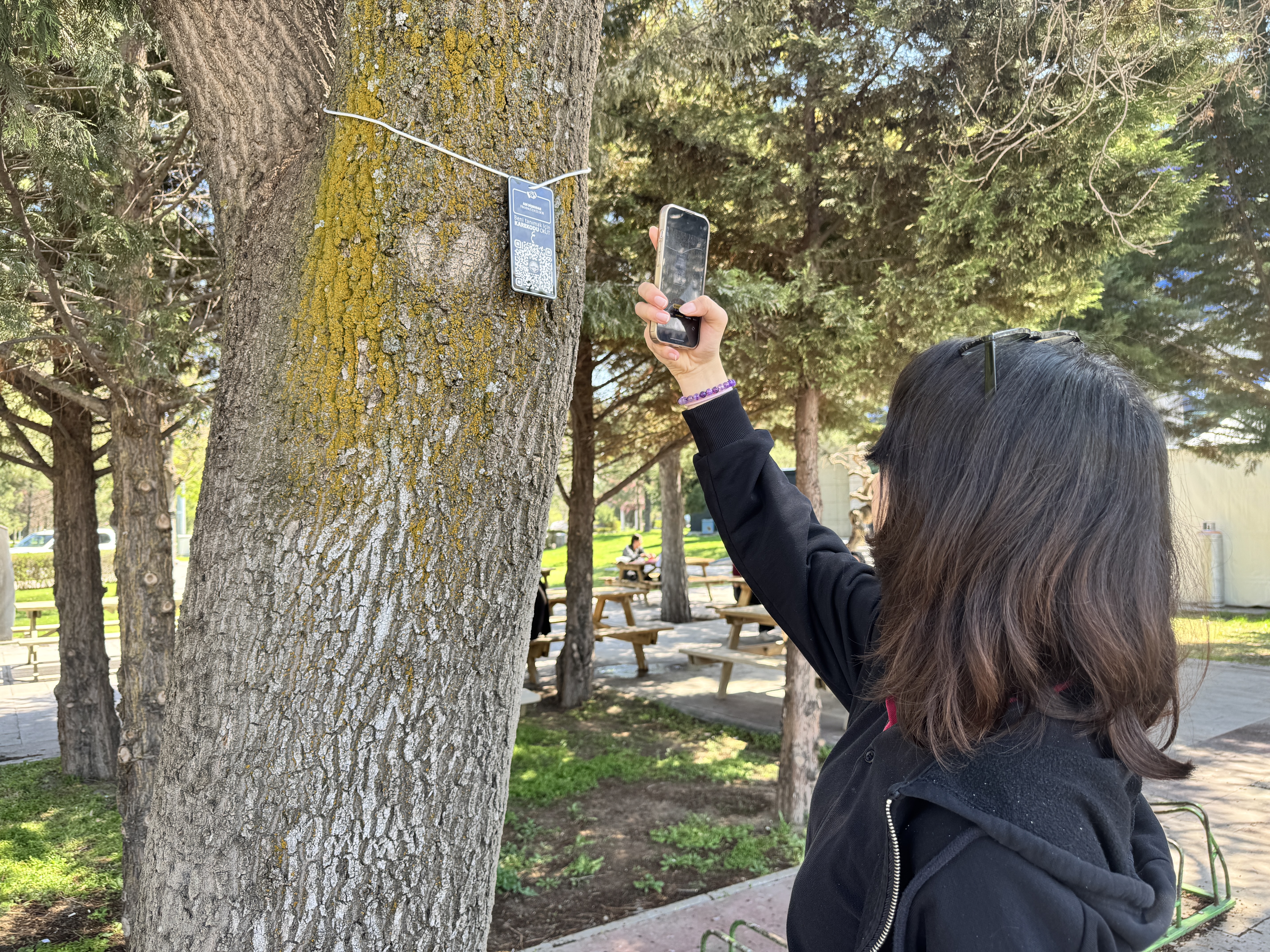 AĞAÇLARA KAREKODLU BİLGİLENDİRME