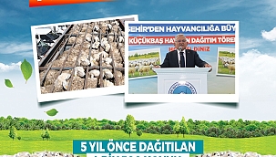 KAYSERİ'DE KOYUN SAYISI 150 BİNE ULAŞTI