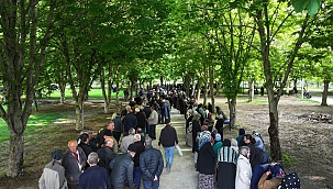 DOMATES FİDESİ DAĞITIMINDA KUYRUĞUN SONU YOK