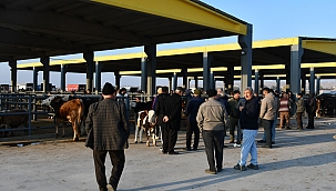 KAYSERİ ARTIK TARIM VE HAYVANCILIĞIN ÖNCÜ ŞEHRİDİR